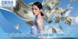 Hoàn trả siêu tốc DR88