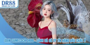 Odin Gamecock