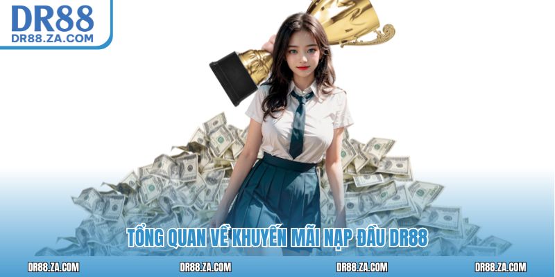 Tổng quan về khuyến mãi nạp đầu DR88